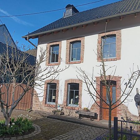 Villa Eifler Brunnenhaus à Dumpelfeld Extérieur photo