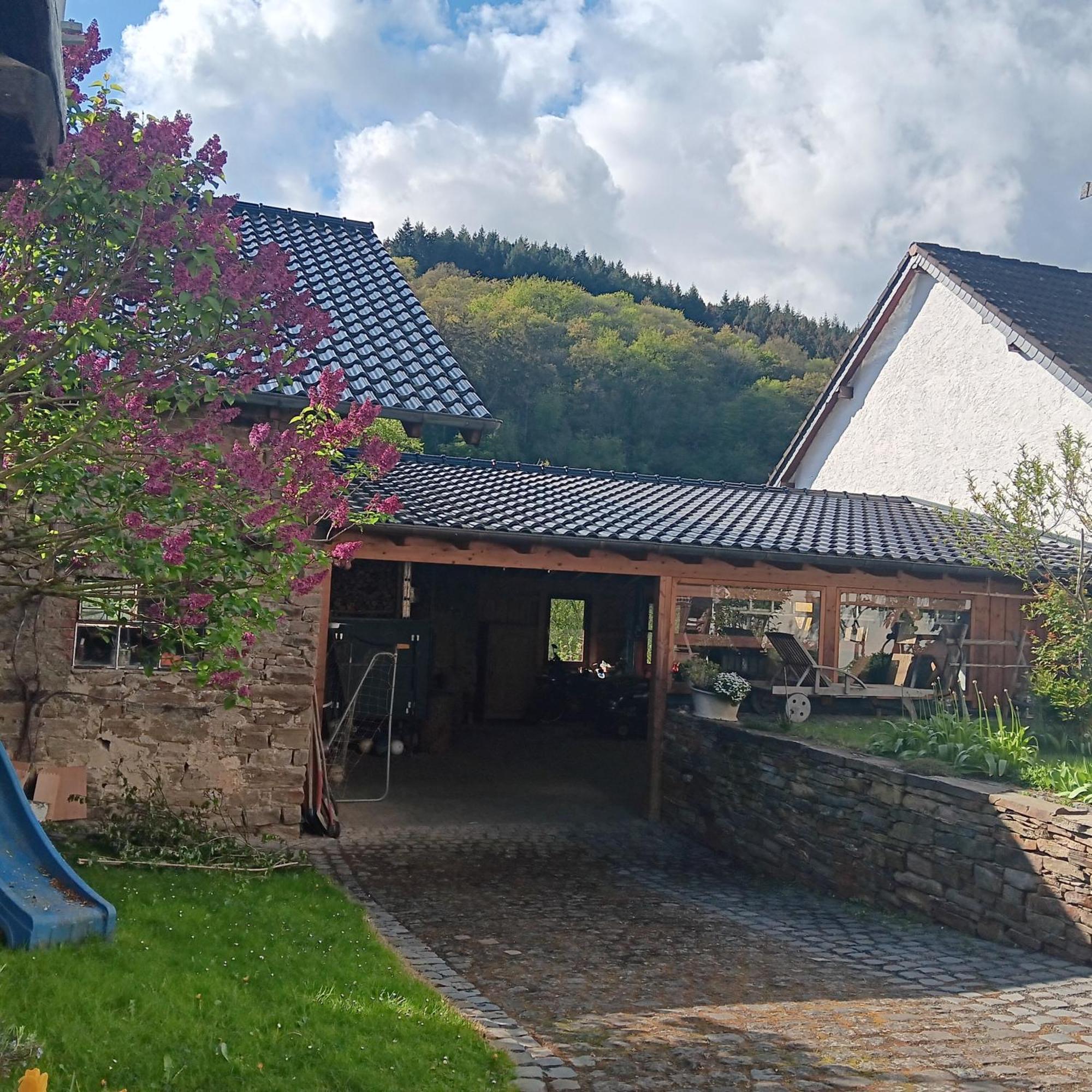 Villa Eifler Brunnenhaus à Dumpelfeld Extérieur photo